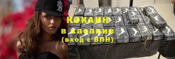 мдпв Михайлов