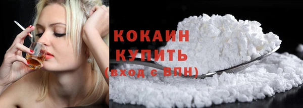 мдпв Михайлов