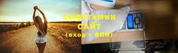 мдпв Михайлов