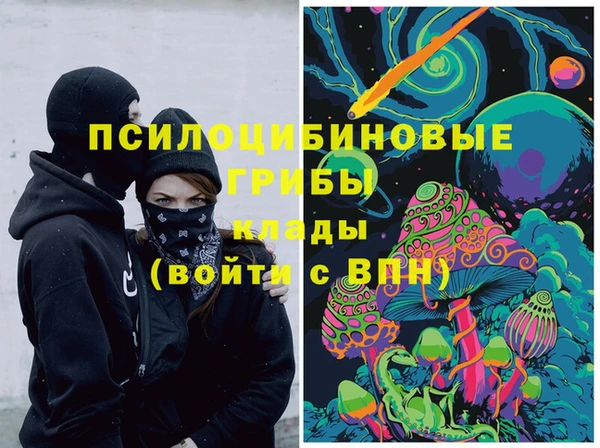 мдпв Михайлов