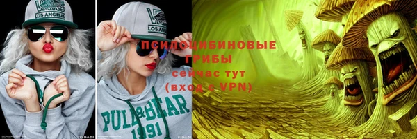 мдпв Михайлов
