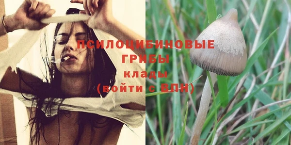 spice Михайловск