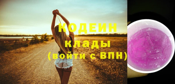 мдпв Михайлов